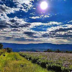 https://casa-chianti.it-tuscanyhotel.com
